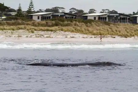 BIG4 Middleton Beach Holiday Park - 42