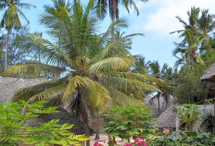 Royal Mandarin & Resort - 79