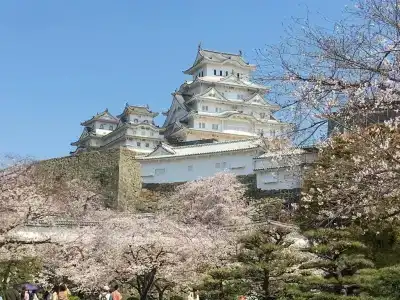 Shironoshita Guesthouse - Hostel - 20