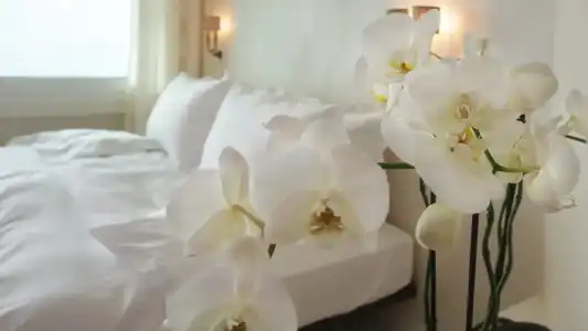 Villa Orselina - 56