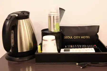 Seoul City - 25