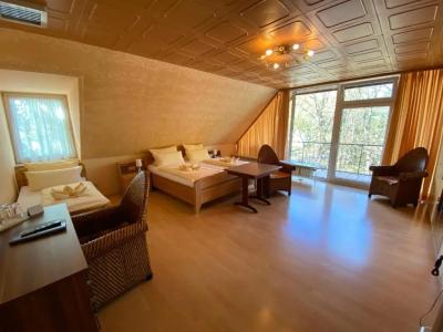 Heidekönig Celle - 47