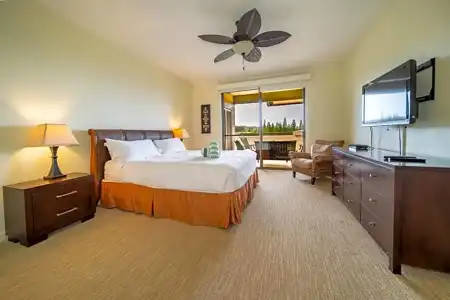 Kapalua Villas Maui - 165