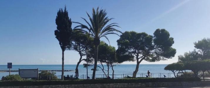 Bluesea Al Andalus - 22