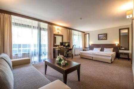 Lion Borovets - 26