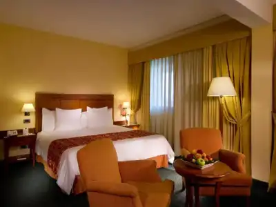 Mercure Rome Leonardo da Vinci Airport - 39