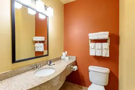 Comfort Suites Tyler South - 7