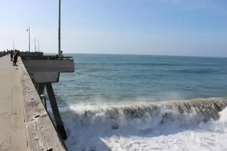 Venice On The Beach - 6