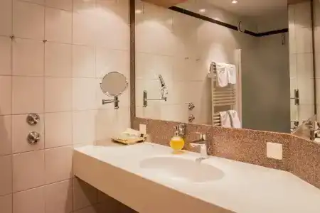 Best Western Premier Rebstock - 80