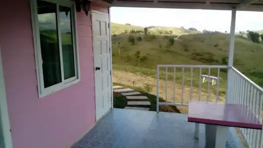 Lovely Farm - 39
