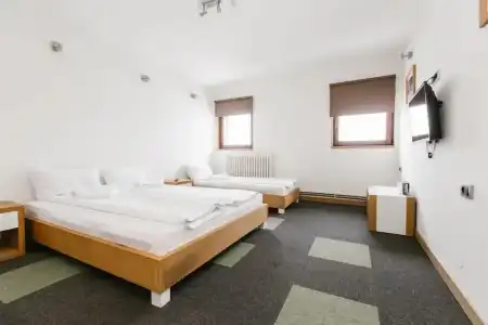 Rtanj Kopaonik Eco Resort & Spa - 15