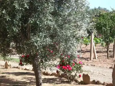 B&B Il Vigneto - 14