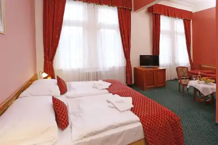 Spa Villa Smetana - 4