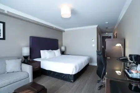 Sandman & Suites Calgary South - 48