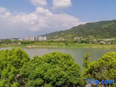 Wuyu (Chongqing Jinyun Mountain, Southwest University) - 58