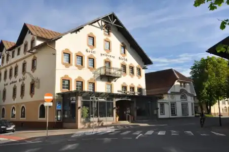 Goldener Hirsch - 7