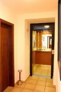 Pawlovnia - 12