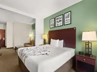 Sleep Inn & Suites Bush Intercontinental - IAH East - 48