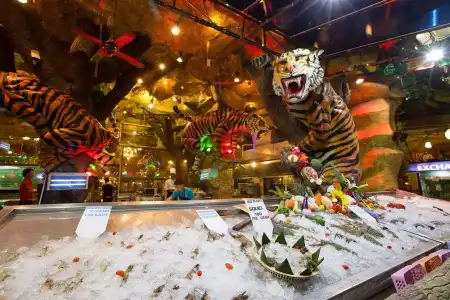 Tiger Complex - 30