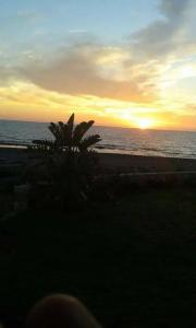 Nikoleta's House - 13