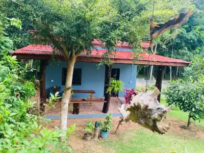 Nadia Resort Kohjum - 79
