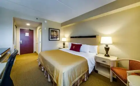 Monte Carlo Inn Barrie Suites - 35
