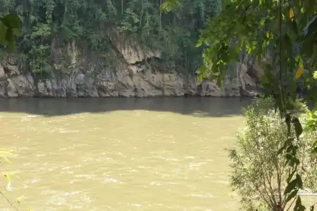 Sam's Jungle Guesthouse - 2