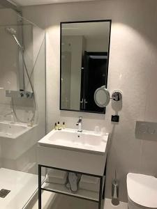 Hôtel Le Roosevelt - 44