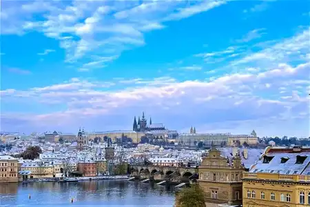 The Mozart Prague - Preferreds - 89