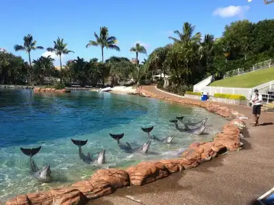 Sea World Resort - 7