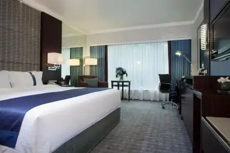 Holiday Inn Singapore Orchard City Centre by IHG - 36