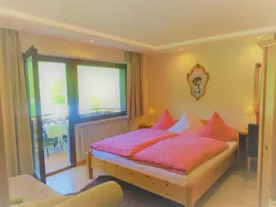 Schwarzwald-Pension Kräutle - 25