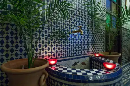 Riad Taha - 15