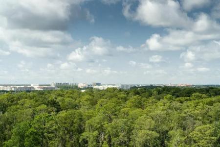 JW Marriott Orlando Bonnet Creek Resort & Spa - 58