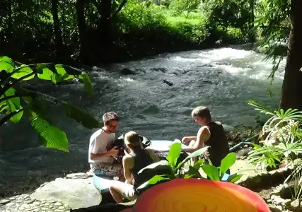 Tree Top River Huts - 10