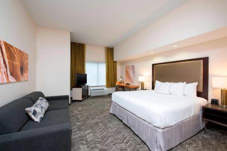 SpringHill Suites by Marriott Grand Rapids North - 15