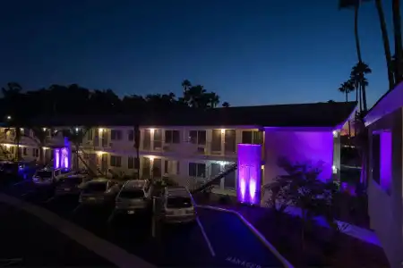 Iris - San Diego - 12