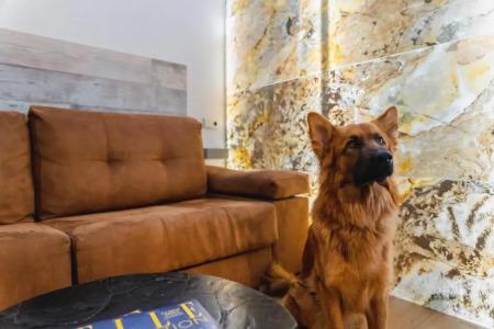 Cosmopolitan Boutique Rambla - 37