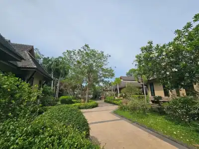 Botany Beach Resort Pattaya - 63