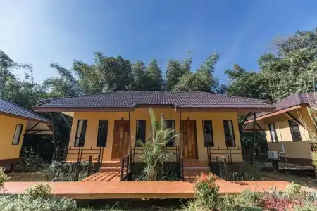 Khaosok Rainforest Resort - 149