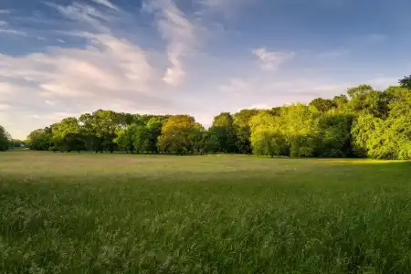 ParkBremen - 136