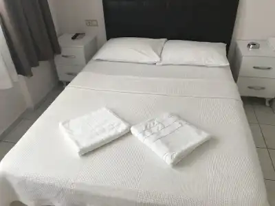 Cam - 24