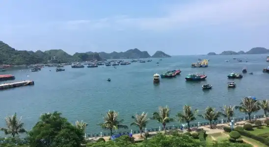 Thai Bao - 8