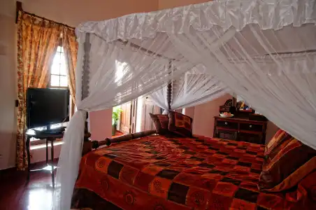 Zanzibar Palace - 21