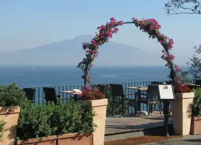 Villa Garden - 14
