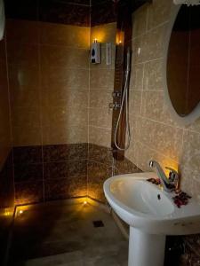 Abdeen Palace - 36