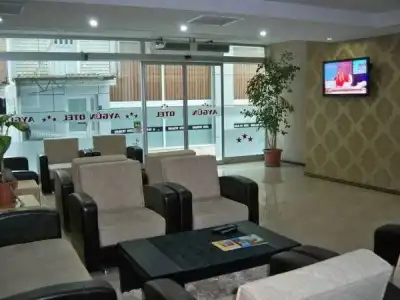 Aygun - 1