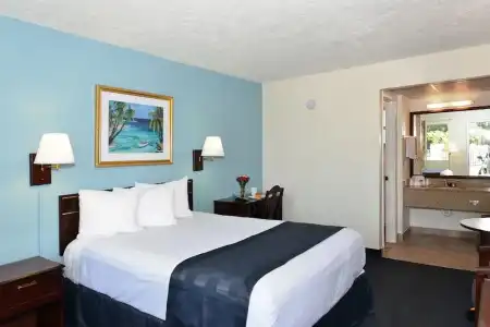 Americas Best Value Inn Bradenton Sarasota - 4