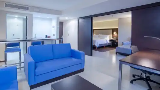 Holiday Inn Express Mexico Basilica by IHG - 67