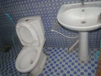 Alp Guest - 4